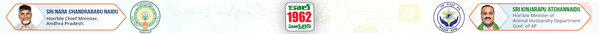 AP 1962 Banner